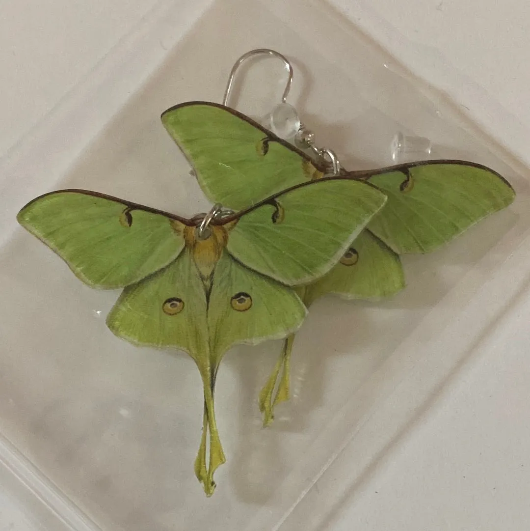 Acrylic Luna Moth Statement Earrings