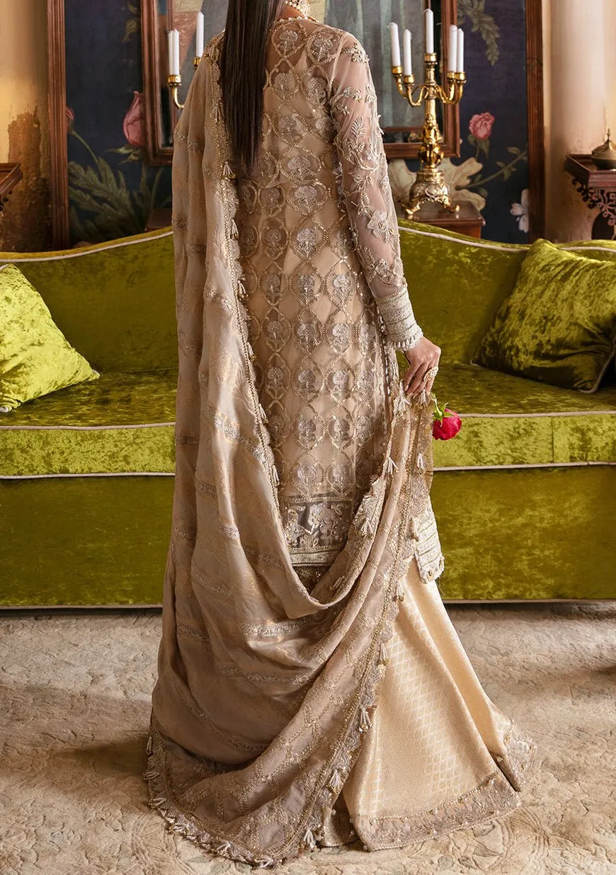 Afrozeh Sabat Pakistani Luxury Net Dress