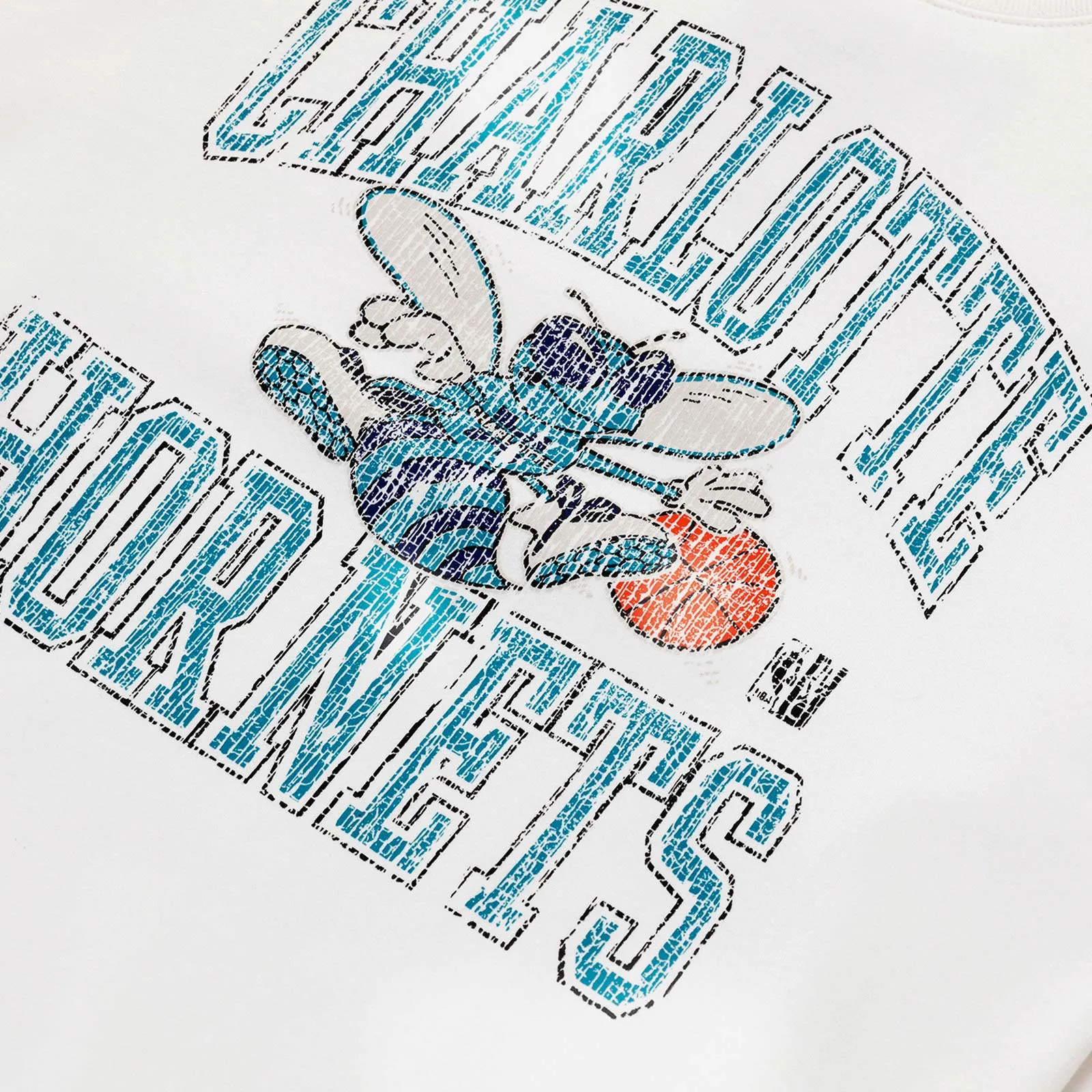 Charlotte Hornets Ivy Arch Crew Sweatshirt - Vintage White