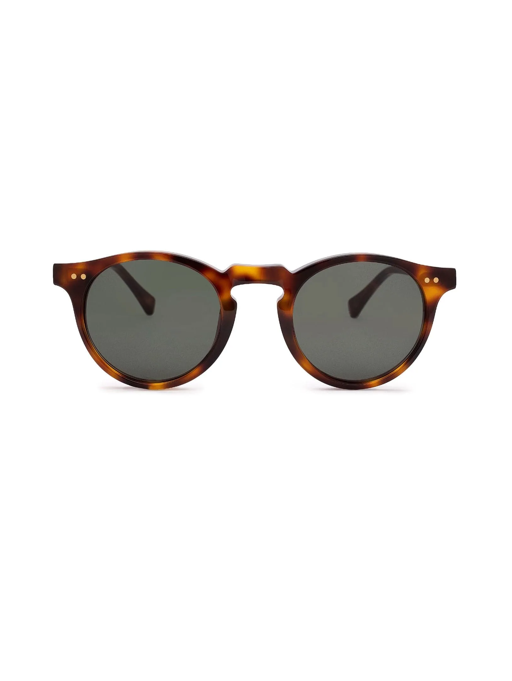 Malibu Sunglasses - Green on Tortoise