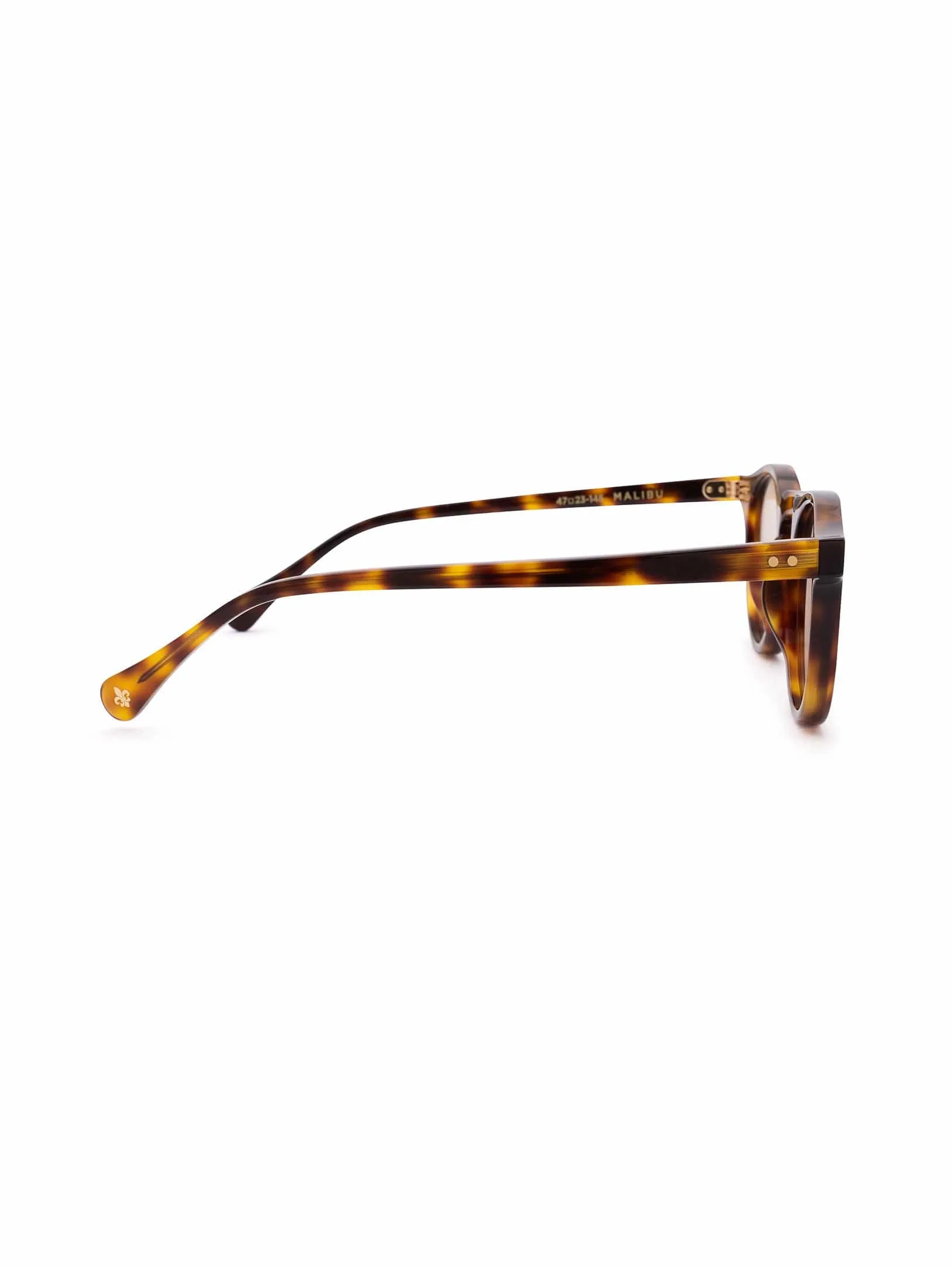 Malibu Sunglasses - Light Brown on Tortoise