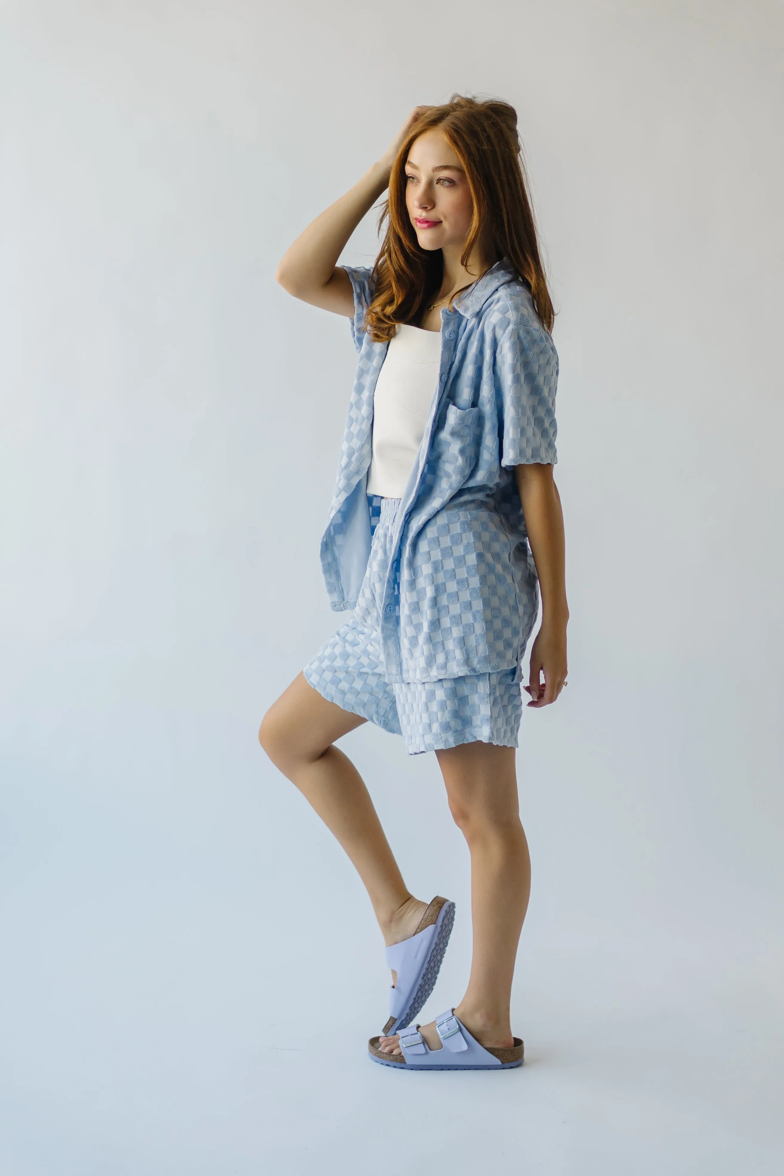 The Malone Textured Button-Up Blouse in Blue Check